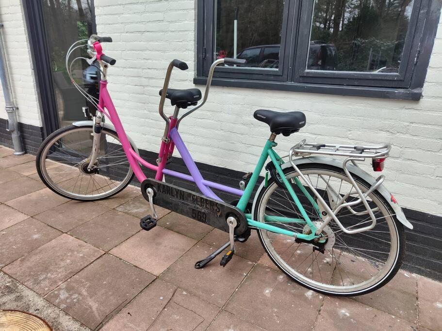 Kindvriendelijke Bungalow In Het Bos Bij Zwemmeer. Vilsteren Buitenkant foto