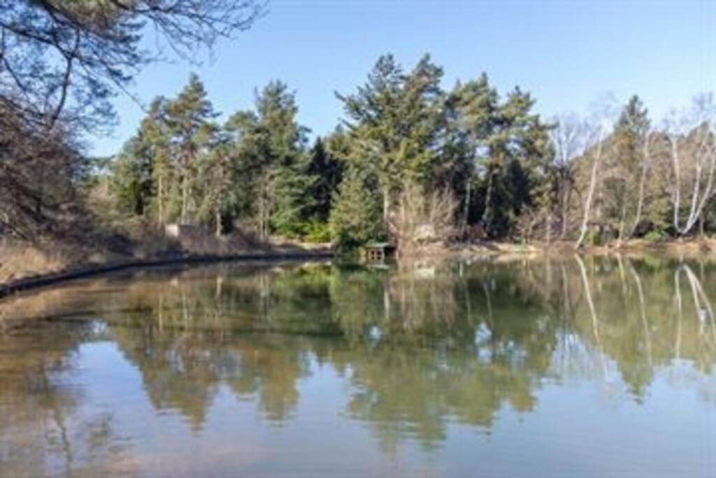 Kindvriendelijke Bungalow In Het Bos Bij Zwemmeer. Vilsteren Buitenkant foto