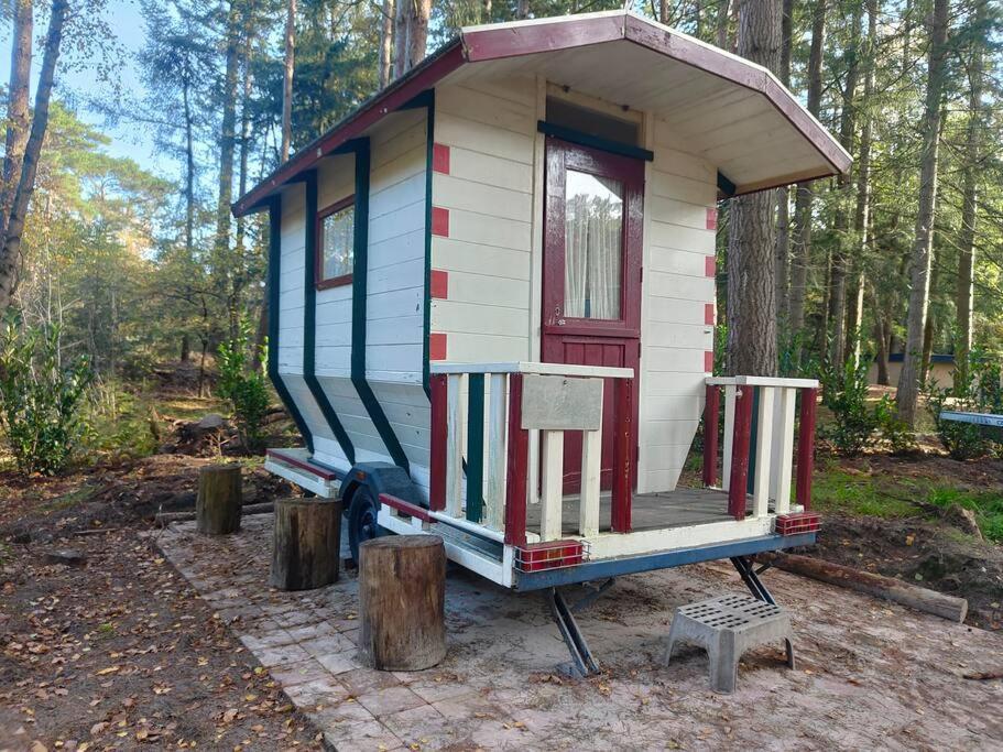 Kindvriendelijke Bungalow In Het Bos Bij Zwemmeer. Vilsteren Buitenkant foto